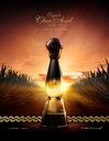 Clase Azul Gold Tequila 70cl
